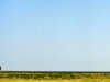 sc014