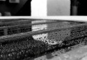 alicia-aceto-2