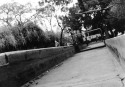 martin-benjamin-12
