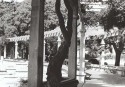05-mariana-melgar