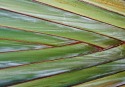 Texturas - 1