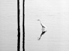 AM003