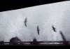 SM002