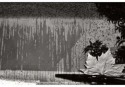 ac005