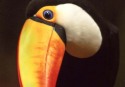 sc005