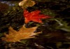 SC004