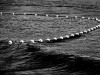 am005