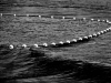 am005