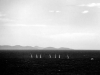 am009