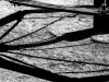 am012