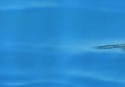 SC004