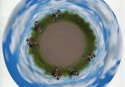 SC008
