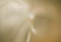 SC014