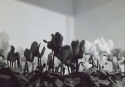 AM010
