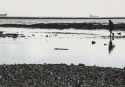 DM005