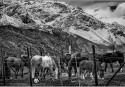 05-A-M1-Invernizio Guillermo-Algun lugar - Cajon del Maipo