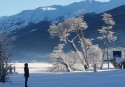 10-P-C-3-Alvarez Enrique-Viento Nevado