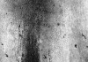 PM005