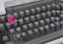 CP002