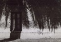 AM11