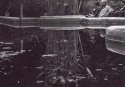 AM010