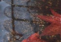 PC011