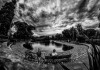 AM006