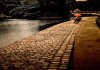 SC002