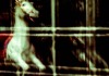 SC011