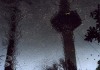 AC002