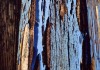 PC010
