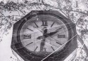 SM005