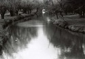 sabrina-pardo-02