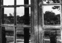 lorena-fabrega006