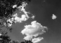 lorena-fabrega008
