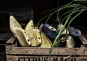 FRANK GIL - ZAPATOS