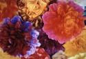 15-mj-claudio-an