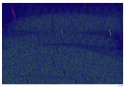 D70.0108 B-1200