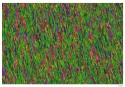 D70.0287c-1200
