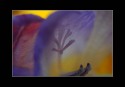 Rita_016