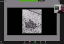 Muestra_Virtual_1-006