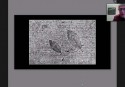 Muestra_Virtual_1-007