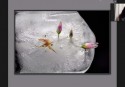 Muestra_Virtual_1-009