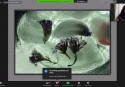 Muestra_Virtual_1-010