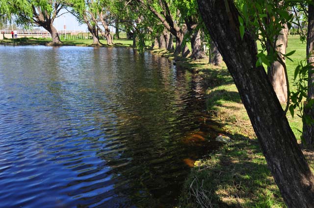 laguna-de-navarro