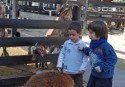 foto-Pedro Gil (4)