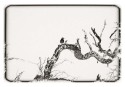 09