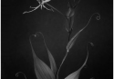 056