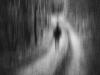 041