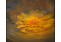 068